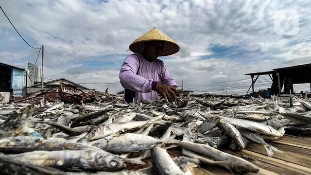 Potensi Tambak Udang di Sumatera Selatan Sangat Besar, Tapi Terkendala  Bibit - Bisnis Liputan6.com