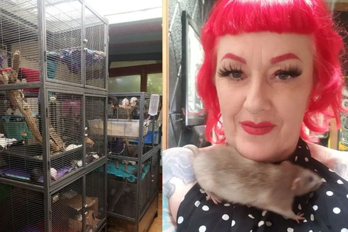 Wanita Pelihara Tikus
