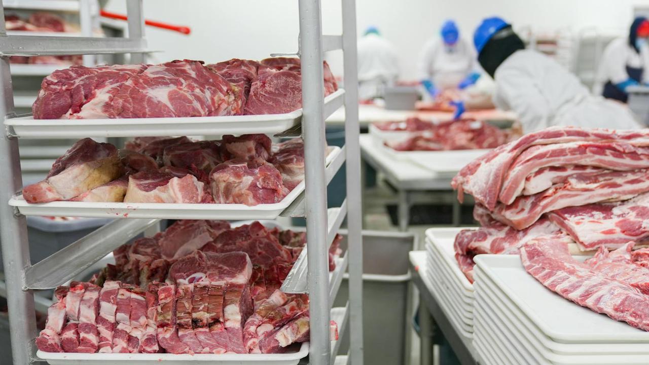 Hindari Keracunan! Rahasia Menyimpan Daging Kurban Tahan Lama dan Tetap Segar