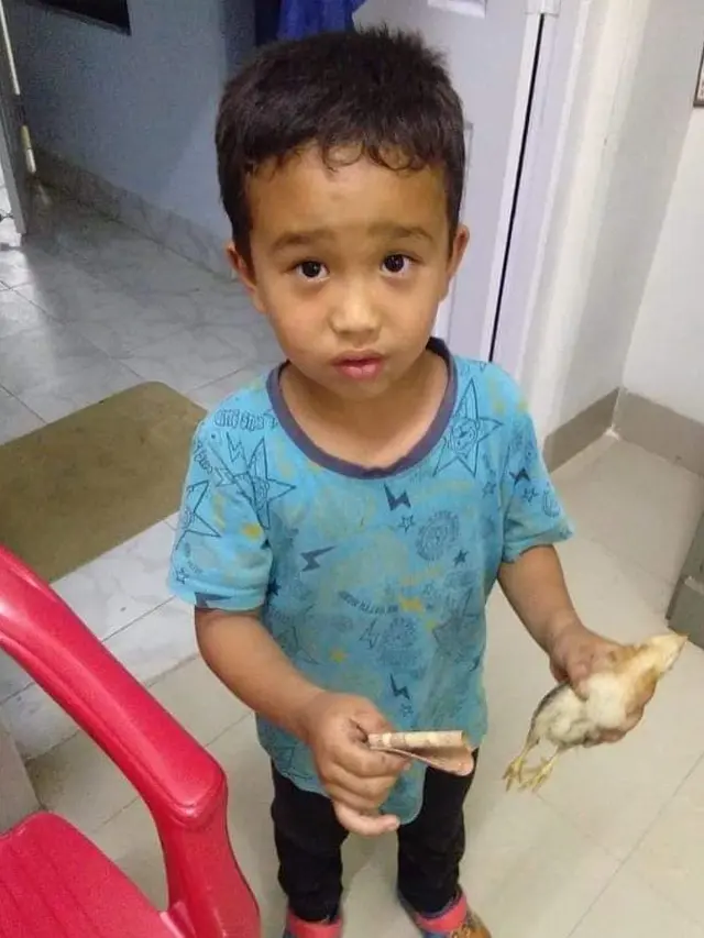 bocah tabrak ayam
