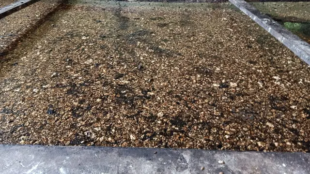 Menyentuh Hati Para Petani Lewat Pupuk Hayati