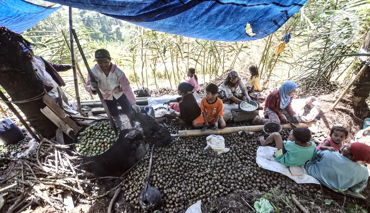 Suasana pengolahan buah aren menjadi kolang-kaling di Kampung Citugu, Desa Puraseda, Leuwiliang, Kabupaten Bogor, Jawa Barat, Minggu (25/4/2021). Tenaga pengupas buah aren mayoritas perempuan. (merdeka.com/Iqbal S. Nugroho)