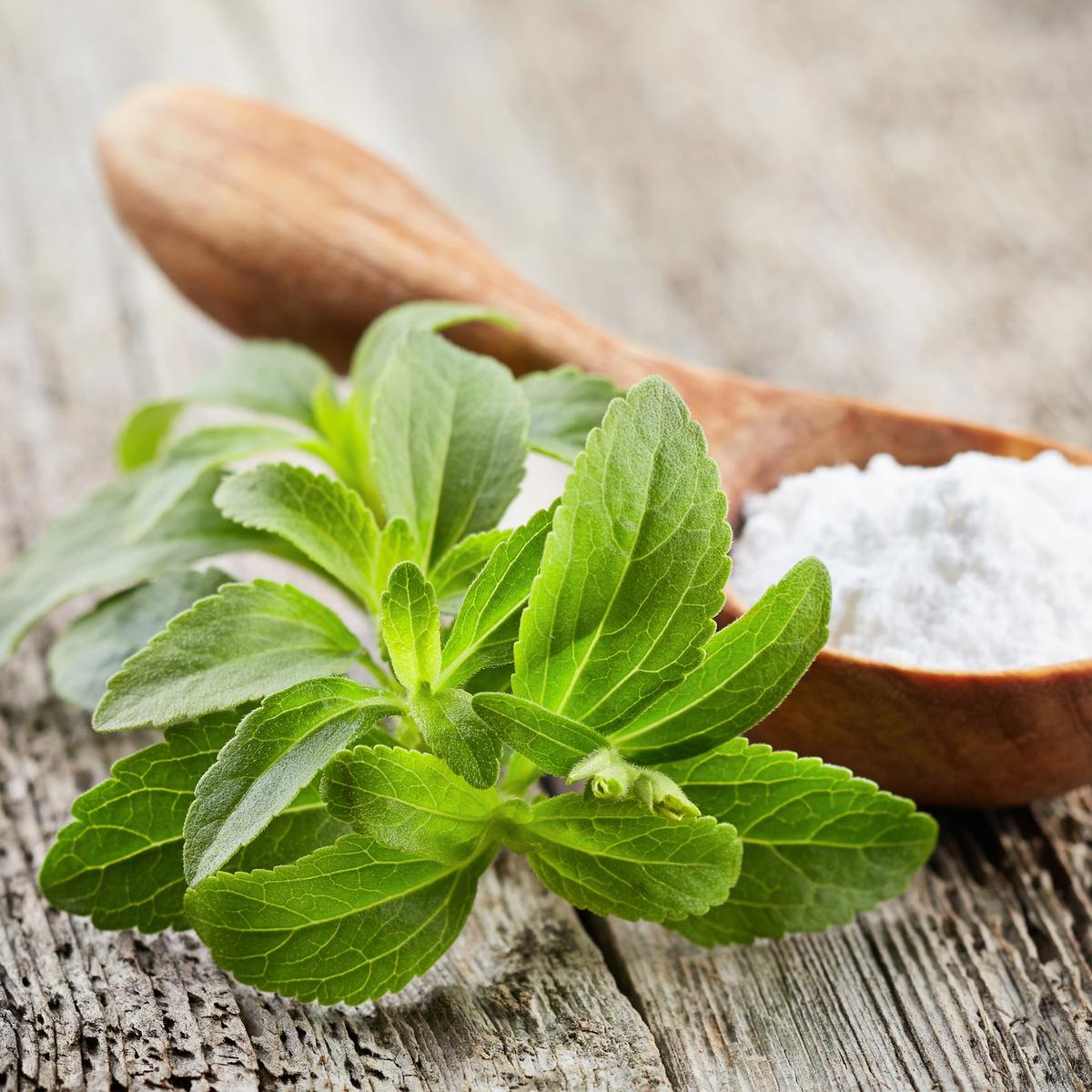 Stevia.