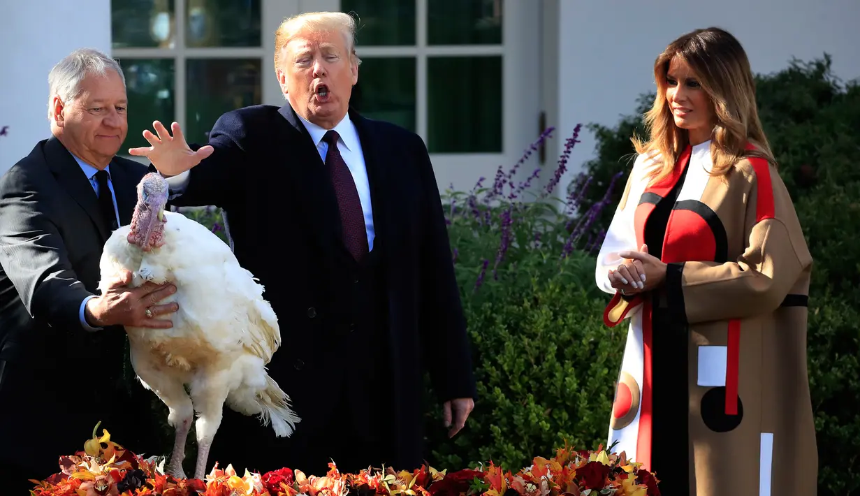 Presiden AS, Donald Trump bersama Ibu Negara, Melania Trump memberikan pengampunan kepada kalkun bernama Peas dalam upacara tradisi tahunan perayaan Thanksgiving di Gedung Putih, Washington, Selasa (20/11). (AP/Manuel Balce Ceneta)