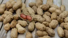kacang tanah/copyright: pexels.com/shatta pilabut