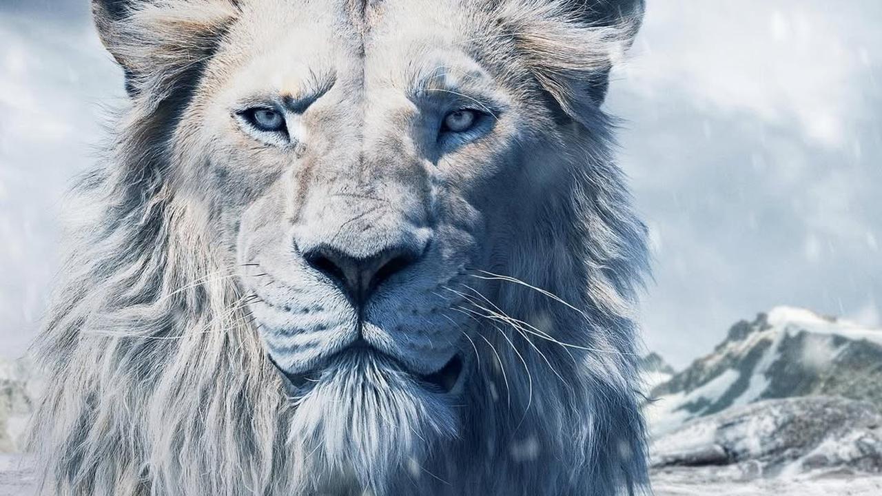 Film Mufasa