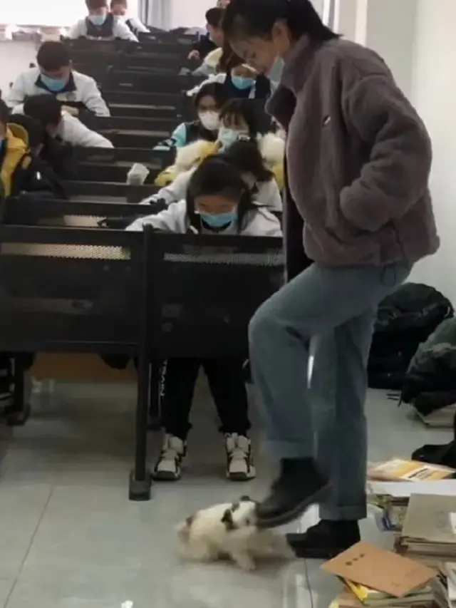 Gemas, Viral Anak Anjing Ganggu Dosen yang Tengah Mengawas ujian