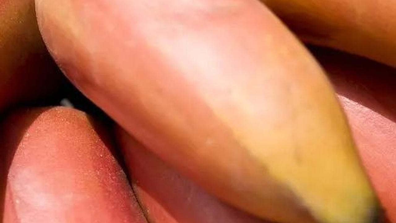 6. Pisang Kulit Merah