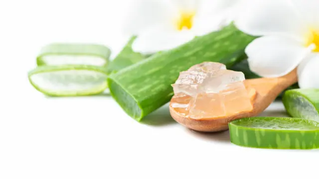 Menggunakan Lidah Buaya