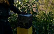 Kebakaran Bromo dan Pengelolaan Taman Nasional di Indonesia