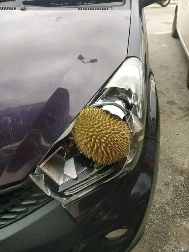 6 Momen Apes Mobil Tertimpa Buah saat Sedang Diparkir Ini Bikin Elus Dada