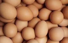 Hari Telur Sedunia Jatuh pada 13 Oktober 2023, Begini Sejarahnya