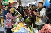 Bupati Kukar: Modernisasi Pertanian, Kunci Dongkrak Produktivitas dan Ketahanan Pangan, Bertepatan dengan Pesta Adat Erau!
