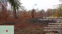 Pemilik Kebun Sawit di Riau Jadi Tersangka