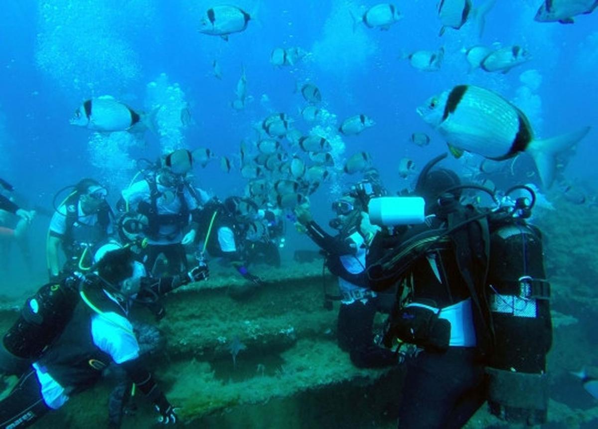 Mengunjungi Kapal MZ Zenobia di bawah laut Siprus