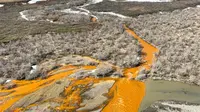 Sungai Alaska yang berubah warna menjadi oranye. (Josh Koch/USGS)