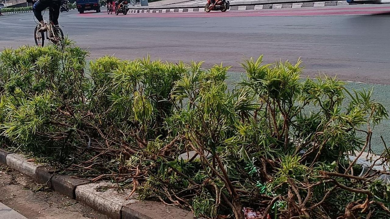 Bundaran HI Pagi Ini Usai Perayaan Tahun Baru 2024, Warga Keluhkan Beberapa Taman Rusak
