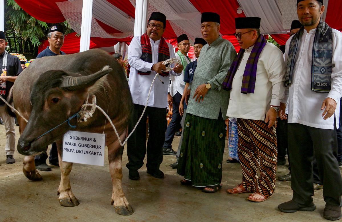 FOTO: Menghidupkan kembali Tradisi Andilan Potong Kebo di Jakarta
