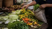 Cara Membuat Pakan Fermentasi dari Sayuran Sisa Pasar, 10 Langkah Hemat Biaya hingga 50%