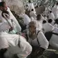 Menjelang ibadah wukuh, jemaah haji mulai memadati Padang Arafah, termasuk Jabal Rahmah. (AP Photo/Amr Nabil)