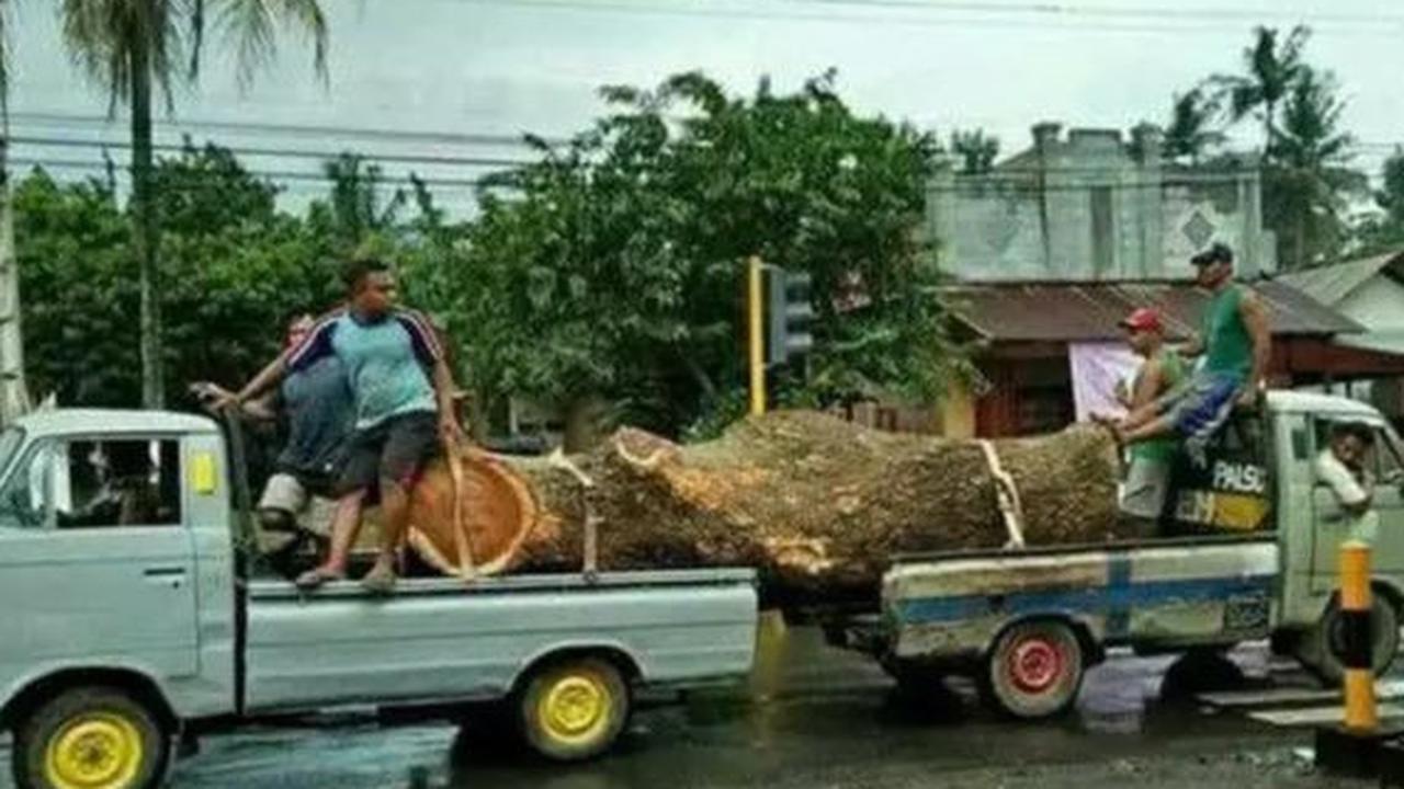 Lebih baik membawa truk besar jika seperti ini
