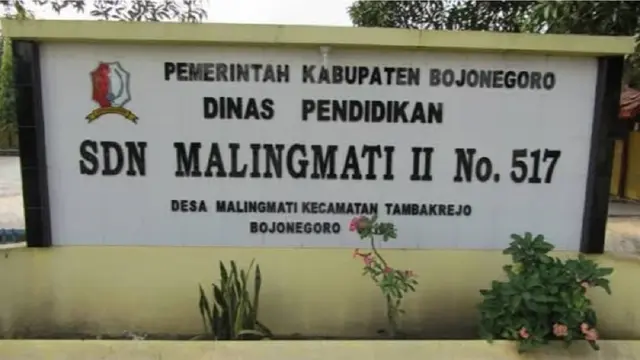 SDN Malingmati