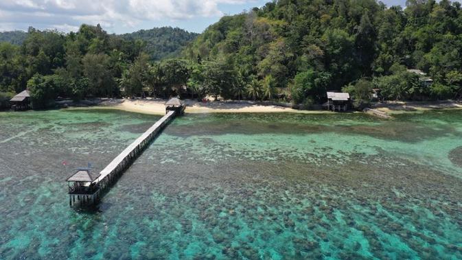 6 Fakta Menarik Tojo Una-Una, Punya Lokasi Menyelam Peninggalan Perang Dunia II - Vimarsana News