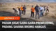 Gara-gara foto prewedding savana di Gunung Bromo terbakar, kemudian saat ini kebakaran lereng Gunung Bromo karena flare foto prewedding tersebut akhirnya padam. Polres Probolinggo pun langsung menggelar olah tempat kejadian perkara. Apa kira-kira has...