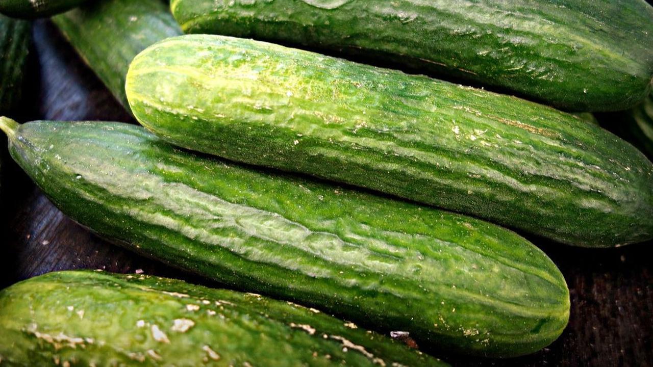 Manfaat Biji Timun untuk Kesehatan