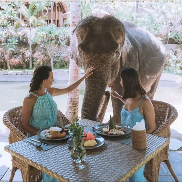 Lombok Elephant Park