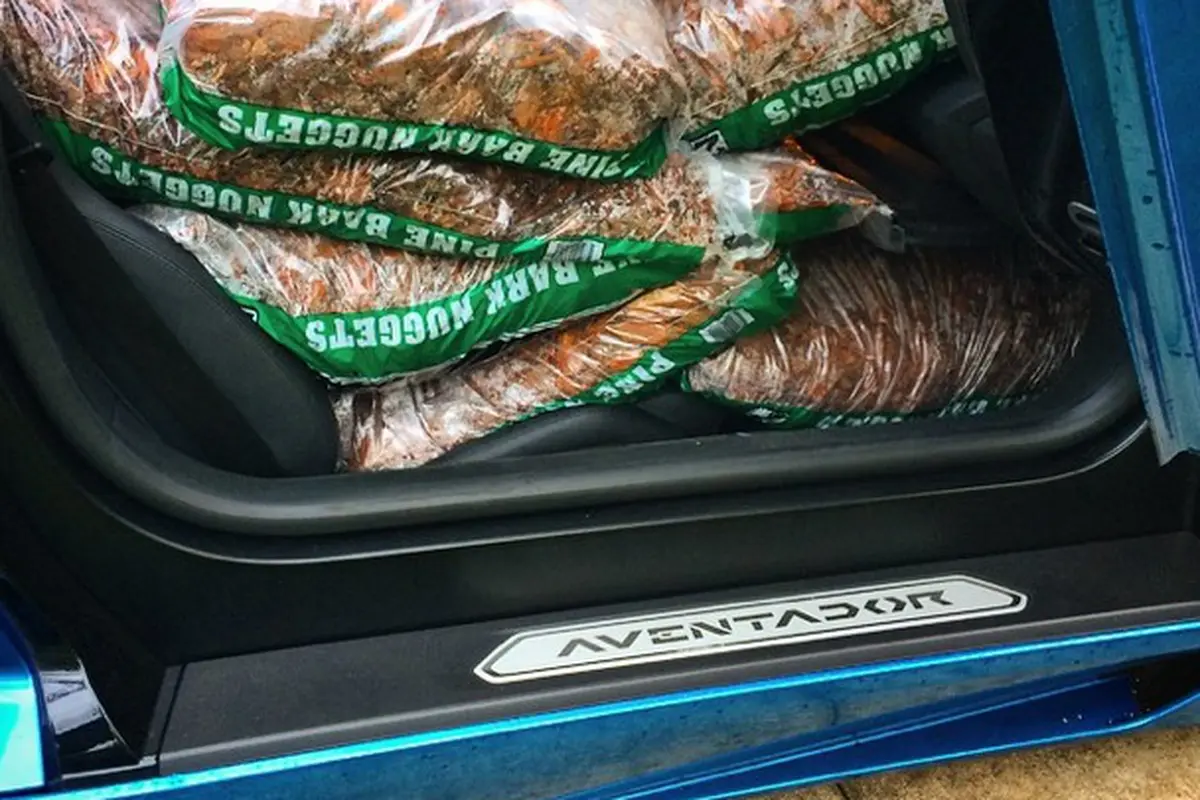 Aksi Konyol Pemilik Lamborghini: Angkut Sayur Pakai Aventador