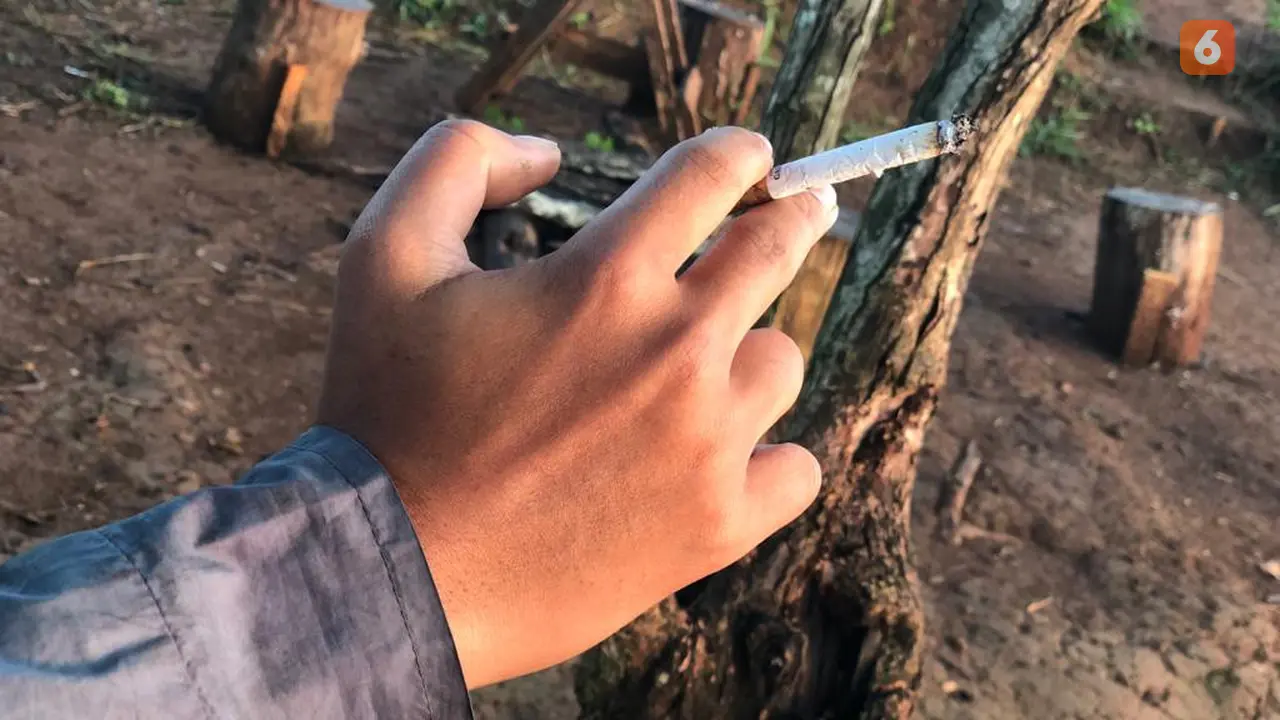 Rokok