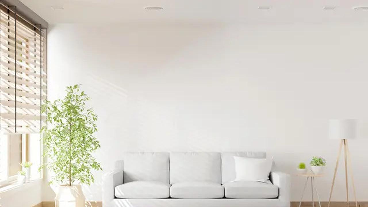 Rekomendasi Warna Cat Rumah Minimalis yang Estetik dan Elegan