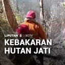 Musim Kemarau, Hutan Jati Terbakar