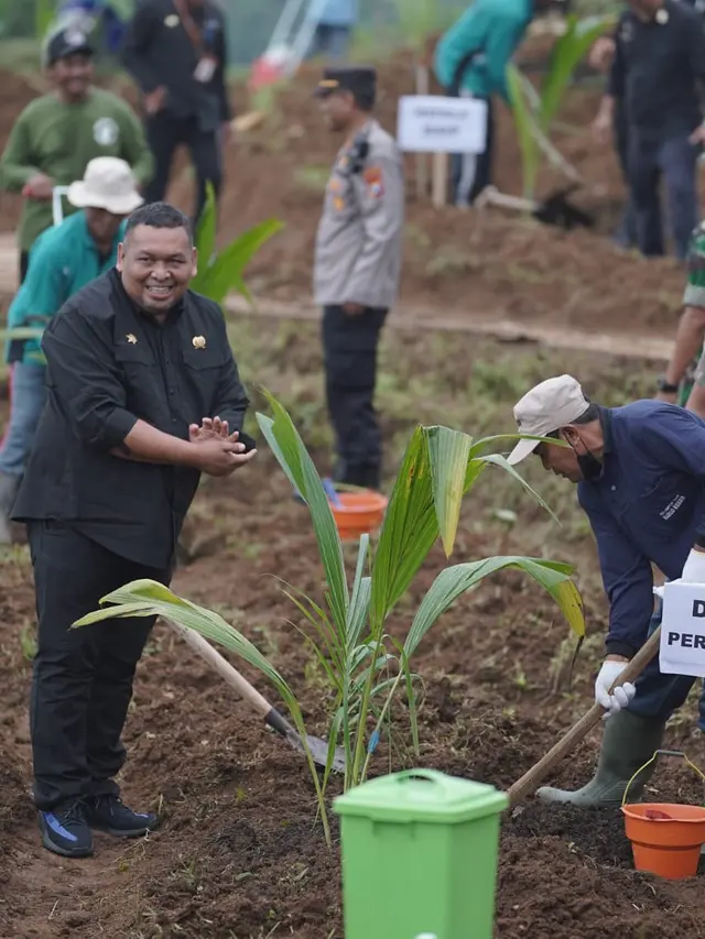 Kementan Fokus Targetkan Tanam Satu Juta Batang Kelapa Sesuai Arahan Presiden