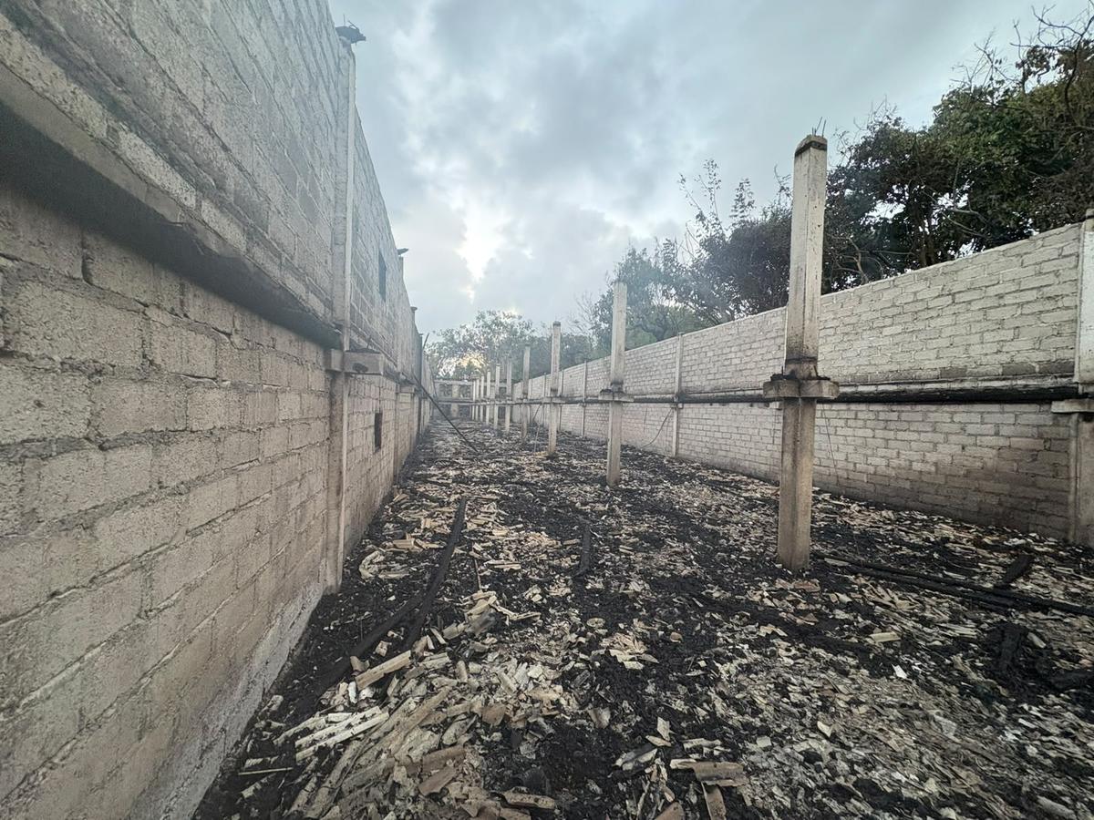 Kebakaran lahan kandang ayam di Jalan Perintis Banjar Ancak Kampial, Kecamatan Kuta Selatan, Kabupaten Badung, Bali, pada Rabu (12/8). (Foto Humas Polresta Denpasar).
