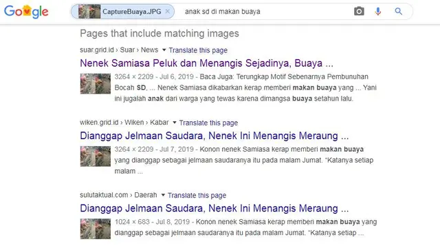 Gambar Tangkapan Layar Penelusuran dengan Google Images
