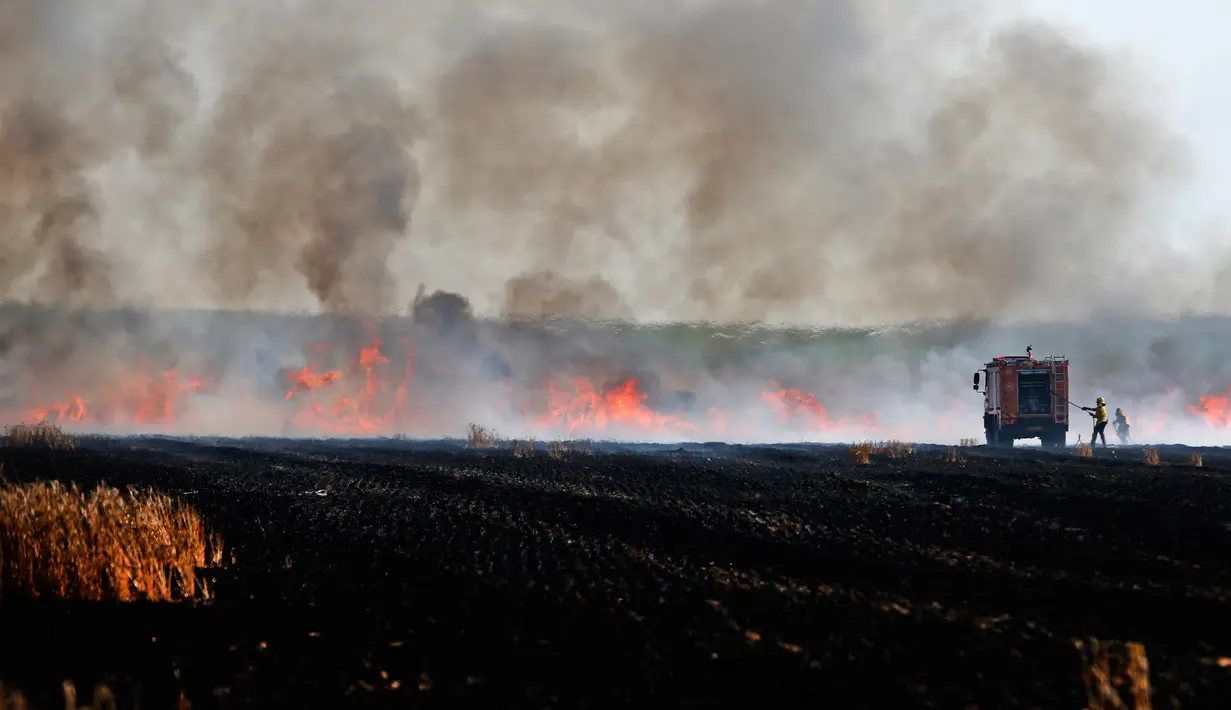 Petugas pemadam Israel berusaha memadamkan api di ladang dekat Kibbutz of Mefallesim di perbatasan Jalur Gaza (15/5). Ladang gandum ini dibakar oleh warga Palestina dengan menggunakan layang-layang. (AFP/Ahmad Gharabli)