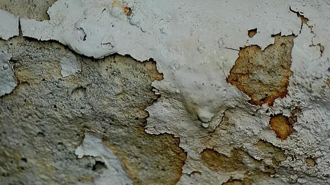 Kesalahan yang Membuat Jamur Kamar Mandi Cepat Muncul, Hindari Hal-Hal Ini