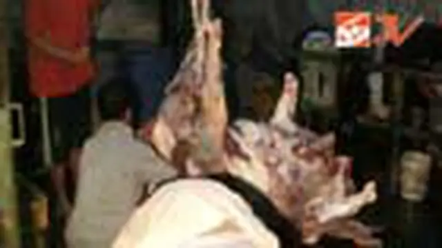 Lebaran Mendekat, Inspeksi Daging Gencar