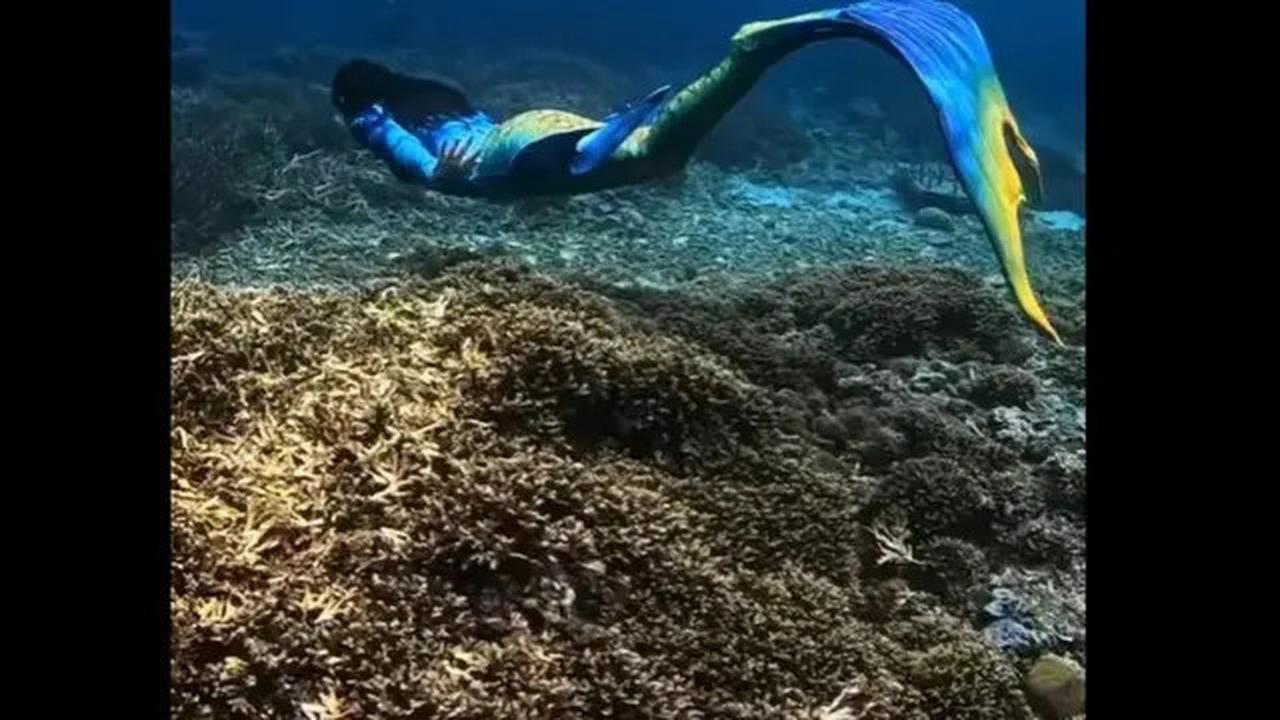 Potret Gubernur Sherly Tjoanda jadi 'Putri Duyung', Unjuk Skill Menyelam di Pantai Siko