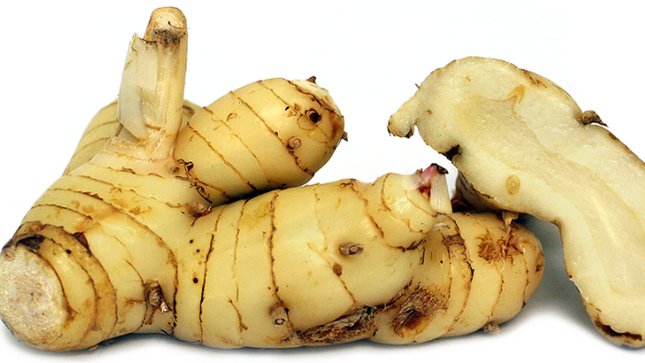 Panu, Lengkuas, dan Tanaman Herbal