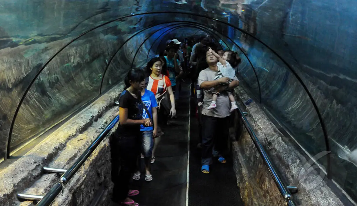Lebaran hari pertama, pengunjung memadati tempat rekreasi Seaworld, Ancol, Jakarta, Senin (28/7/14). (Liputan6.com/Andrian M Tunay)