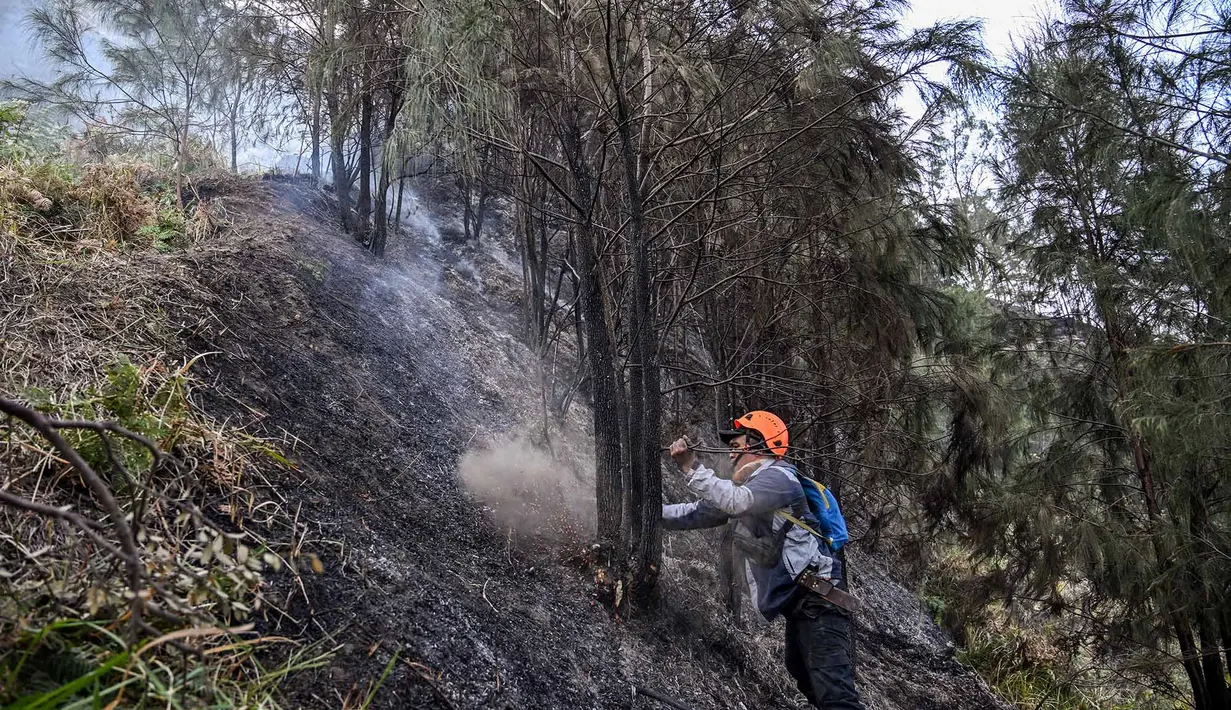 Relawan memadamkan api di Taman Nasional Bromo Tengger Semeru dekat Gunung Bromo di Pasuruan, Jawa Timur, Senin, 10 Agustus 2026. (AFP/ Juni Kriswanto)