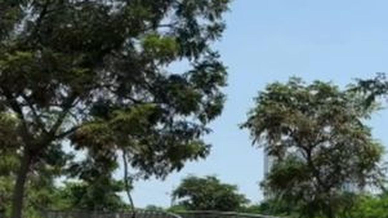 <b>Green Belt PIK 2 </b>