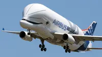 Pesawat Airbus Beluga XL bersiap mendarat setelah uji coba penerbangan perdananya di bandara Toulouse-Blagnac, Prancis, Kamis (19/7). Pesawat baru ini memiliki ukuran 20 kaki dan mampu membawa muatan 51 ton. (AP/Frederic Scheiber)