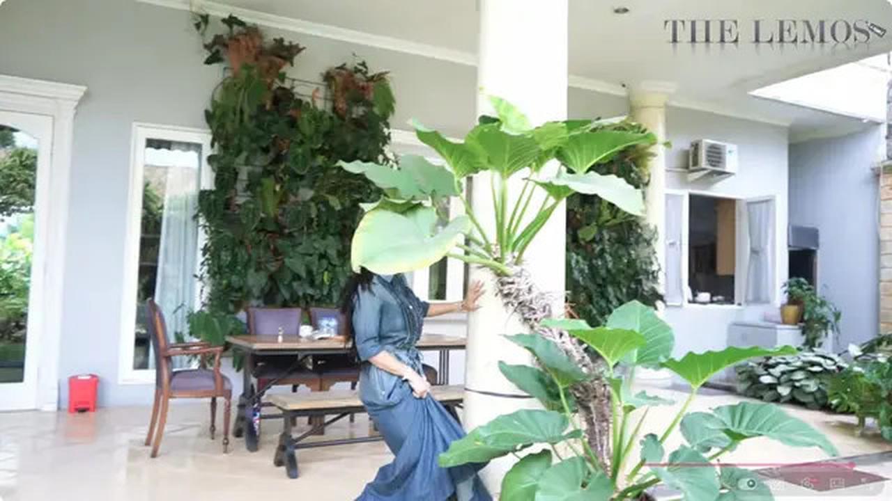 6 Potret Belakang Rumah Kris Dayanti di Jakarta yang Asri dengan Taman Hijau Tertata Rapi