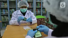 Pekerja lab mengemas serbuk hasil pengolahan laboratorium nano teknologi di balai penelitian dan pengembangan Kementan, Bogor, Jawa Barat, Selasa (7/7/2020). Balai penelitian ini melakukan penelitian terhadap Eucalyptus sebagai pencegah virus dalam jenis kategori jamu. (Liputan6.com/Herman Zakharia)