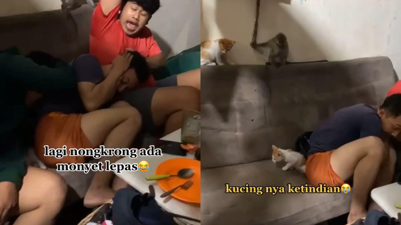 Atraksi seekor primata yang menggangu kumpulan remaja saat tengah asyik menongkrong di warung.