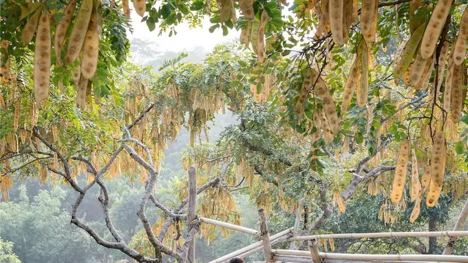 Ternyata Ini Tempat Terbaik di Dunia Buat Para Cewek